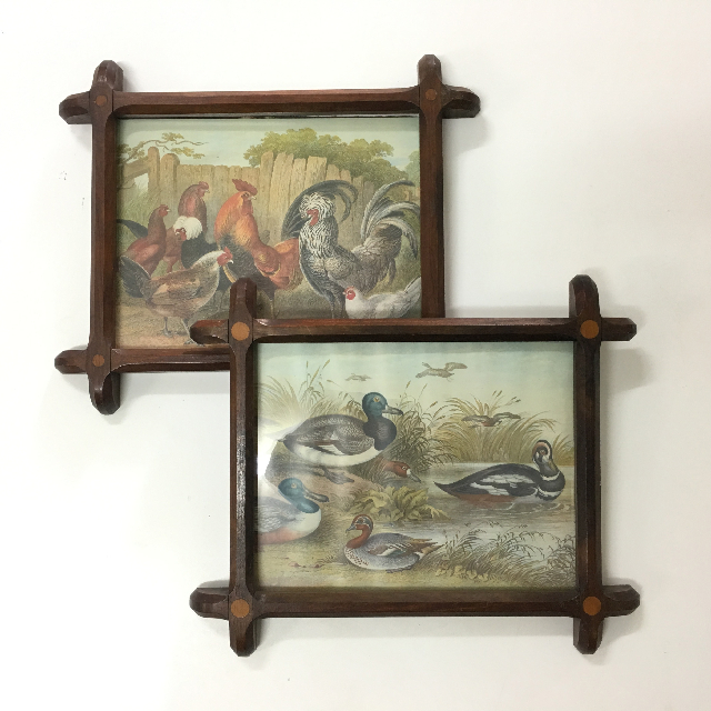 ARTWORK, Print (Small) - Ducks & Roosters